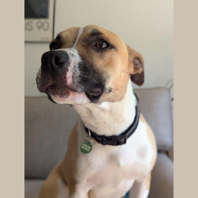 Photo of Rosemary Kumara