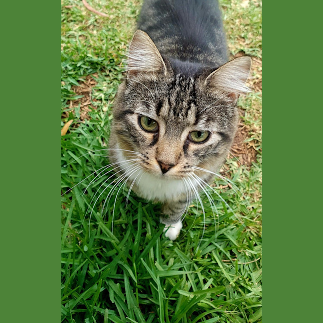 Photo of Rocky