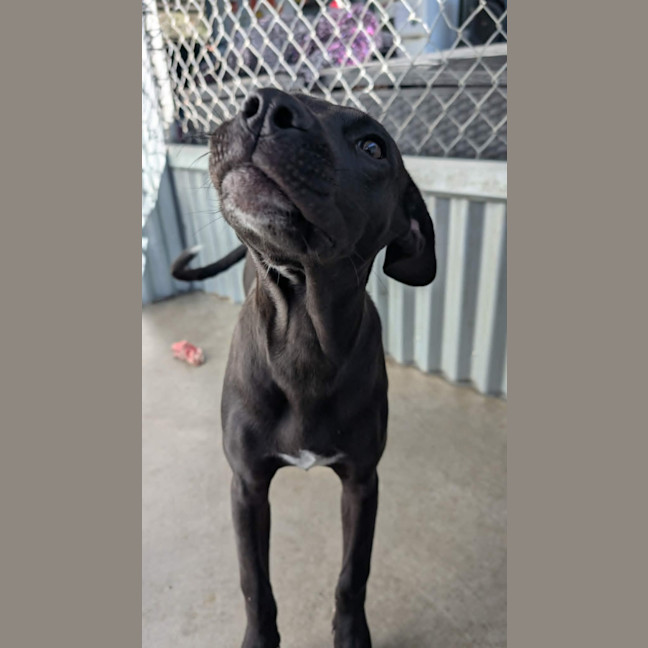 Photo of Thelma