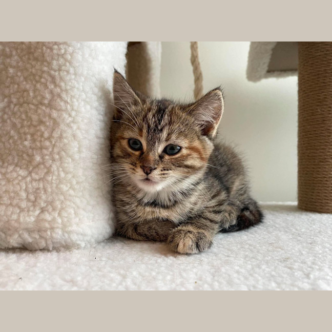 Photo of Kiki