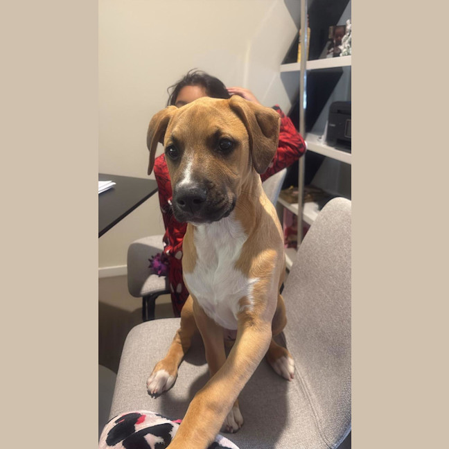 Photo of Cosmo