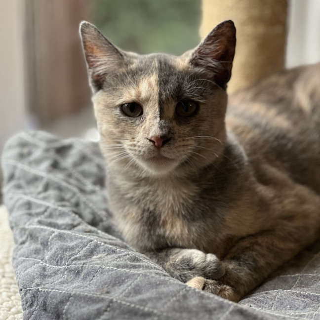 Photo of Stormy
