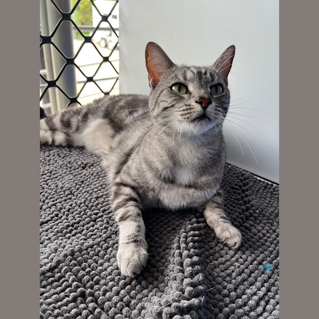 Photo of Missy