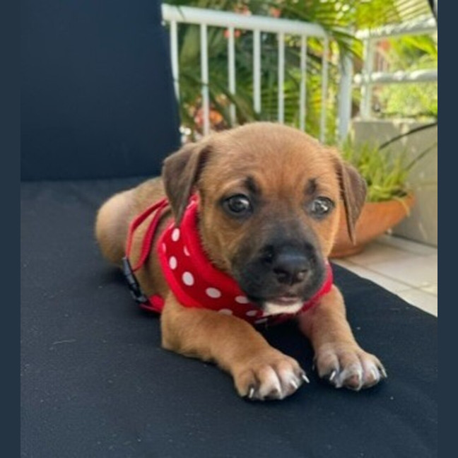 Photo of Lucy