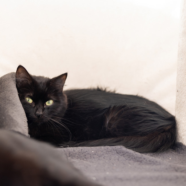 Photo of Molly