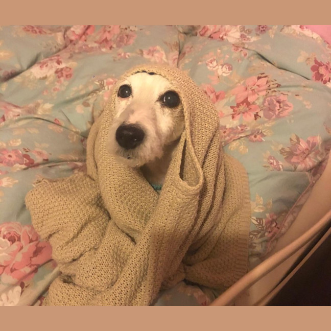 Photo of Ruby And Vincent Silvanus