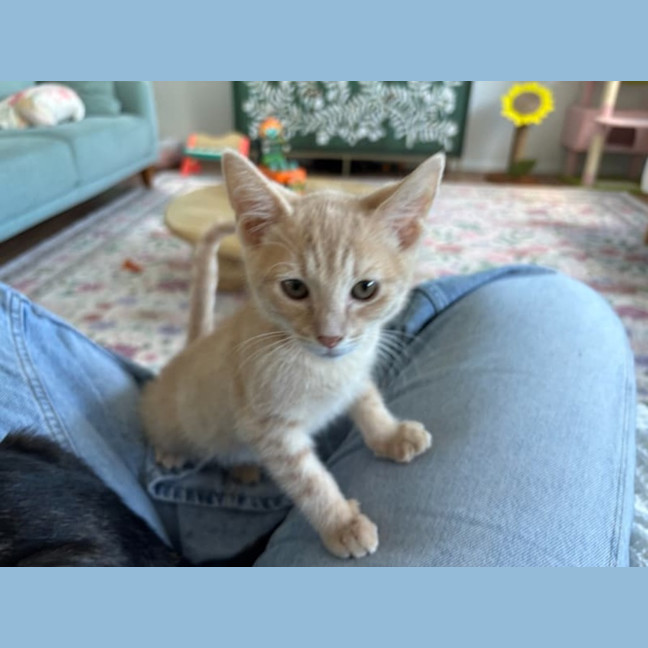 Photo of Tom