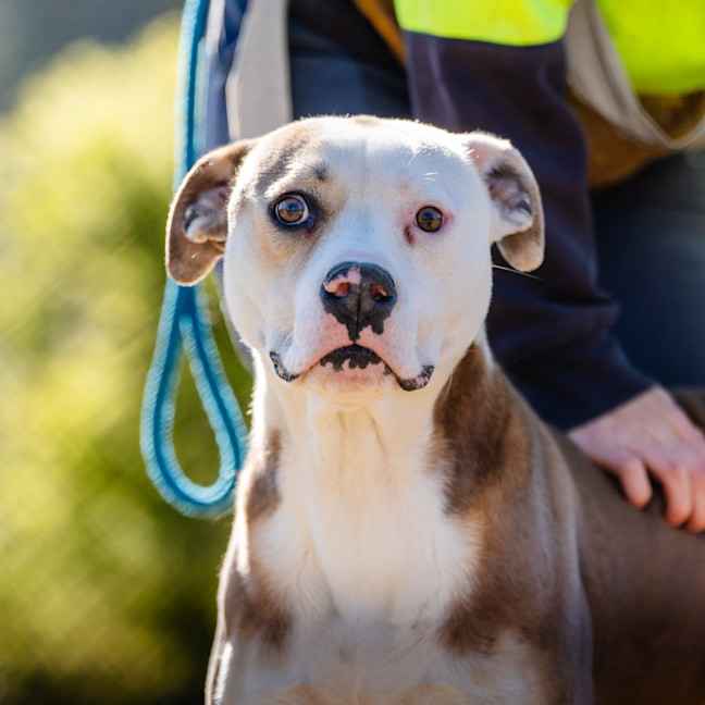 Photo of Wanda Imp 1577 