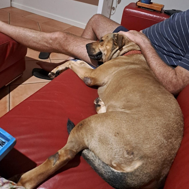 Photo of Ruby