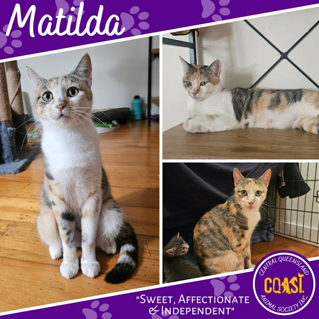 Photo of Matilda