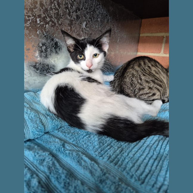 Photo of Cowgirl! 🤠