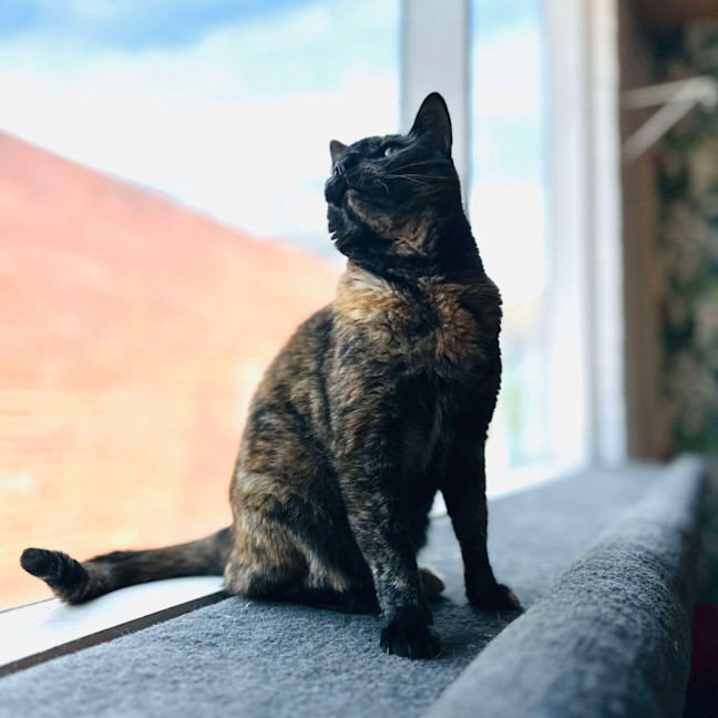 Photo of Kitlyn   Located In Preston