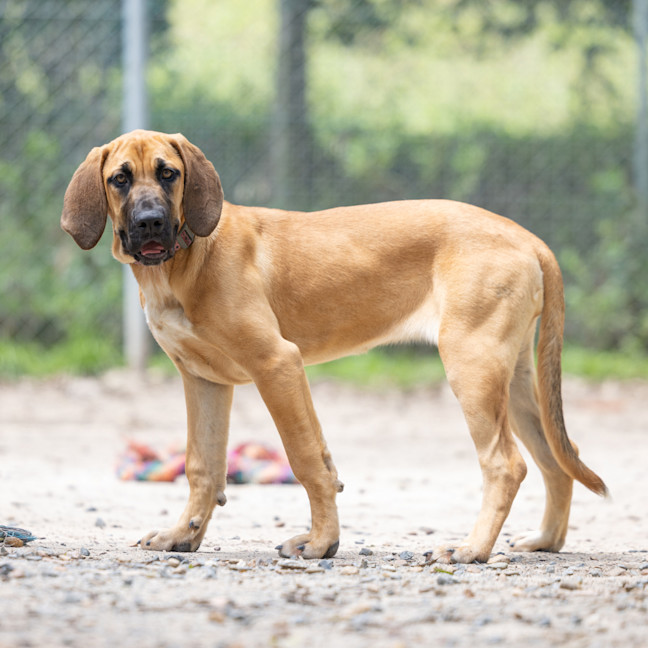 Photo of Sally
