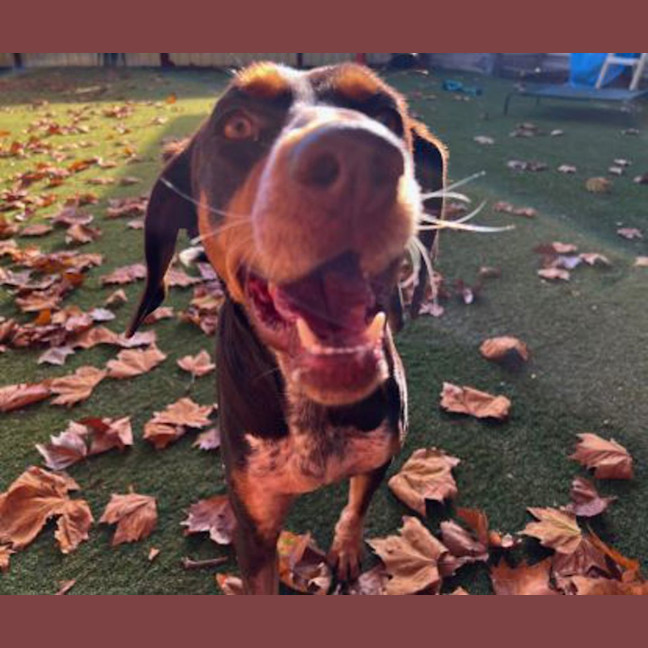 Photo of Tilly
