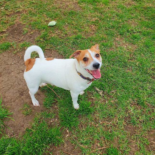 Photo of Suki