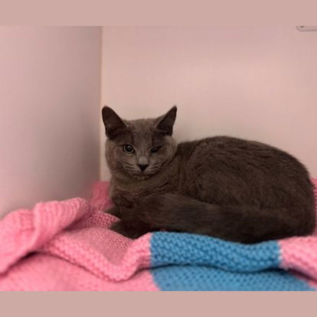 Photo of Cloudy