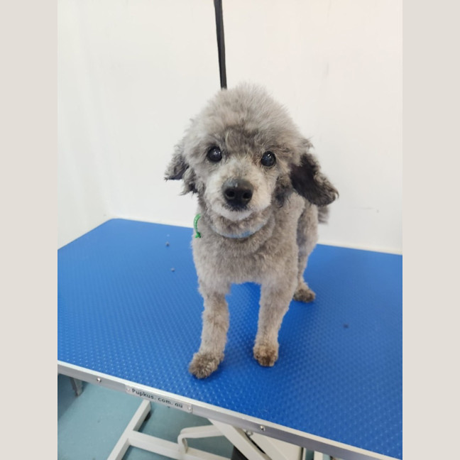 Photo of Carlos And Charlie