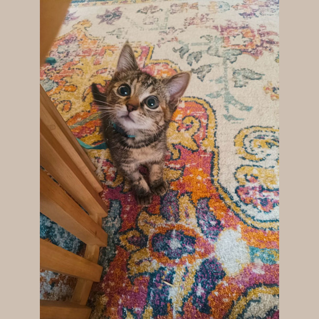 Photo of Holly Bloom