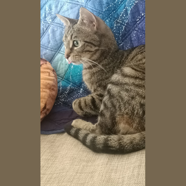 Photo of Curious Georgie