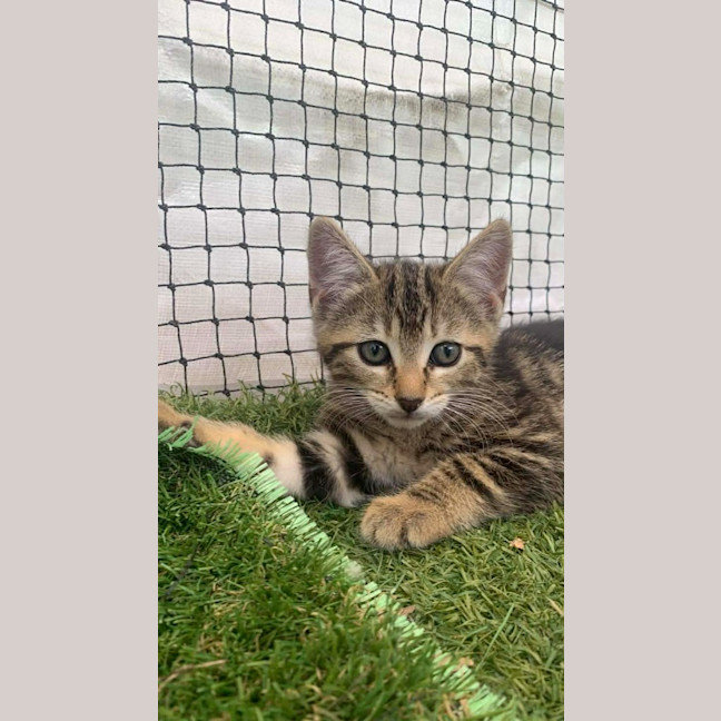 Photo of Princess