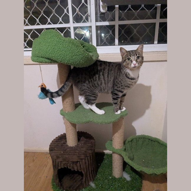 Photo of Blossom And Miette