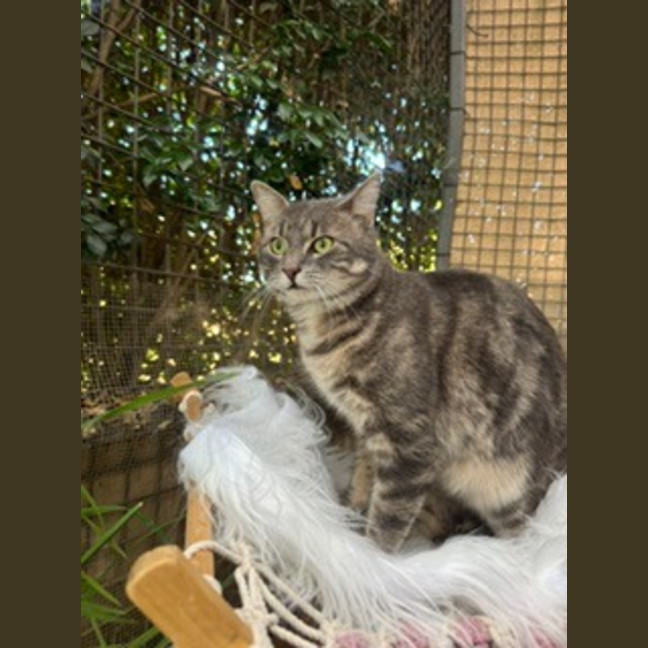 Photo of Sidney