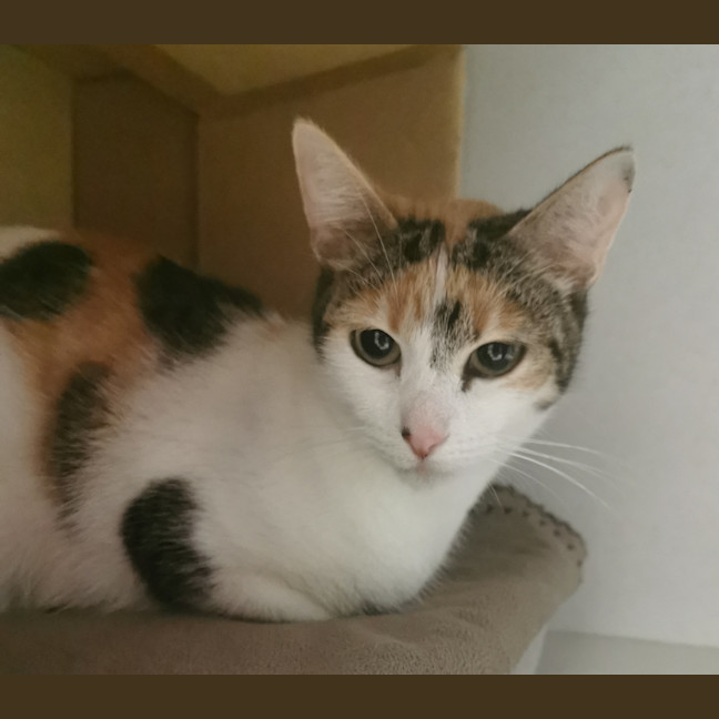 Photo of Molly