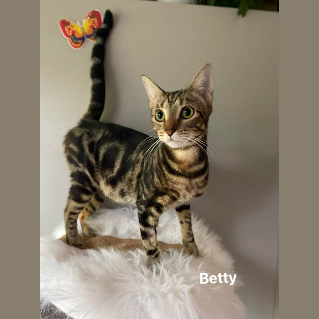 Photo of Betty