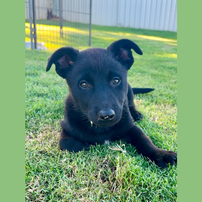 Photo of Betty