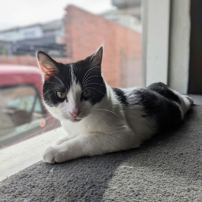 Photo of Asha   Located In Preston