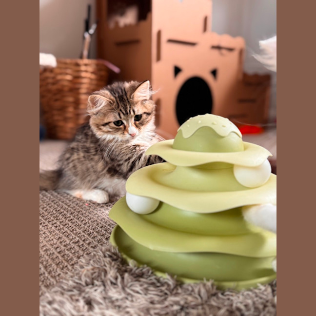 Photo of Audrey