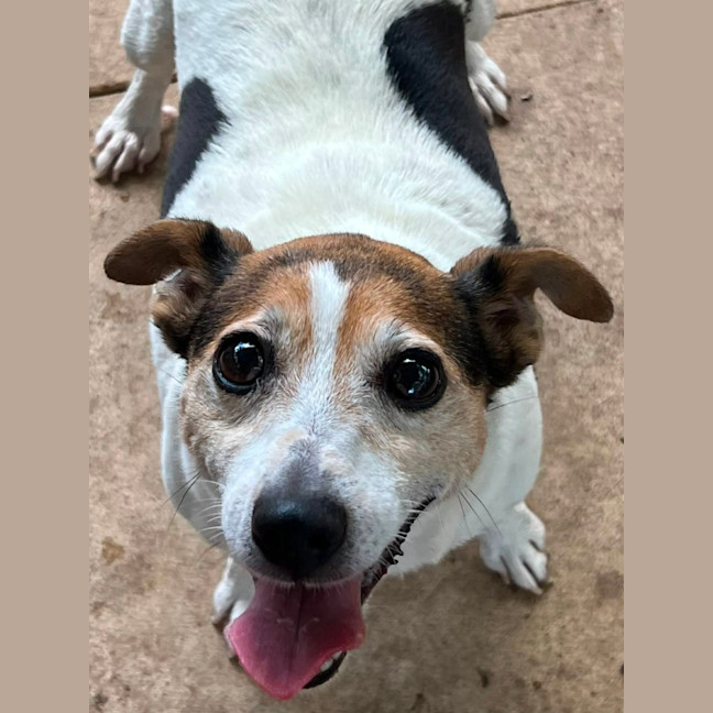 Photo of Sally