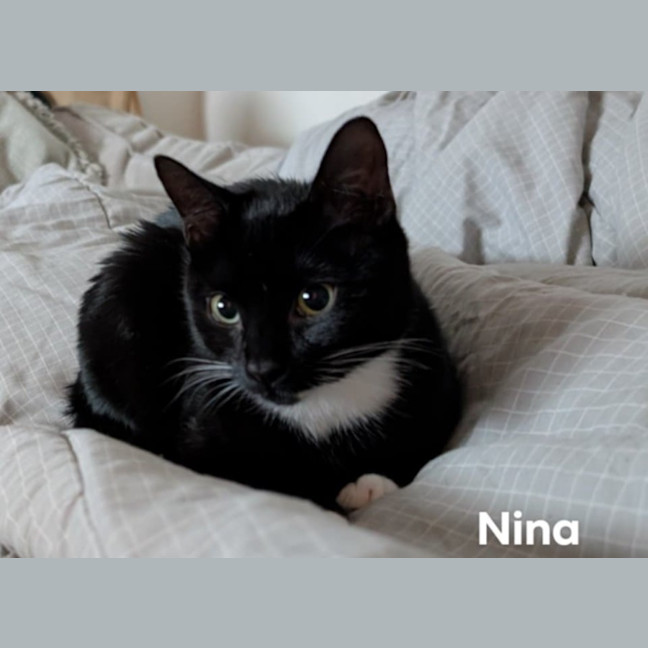 Photo of Nina 