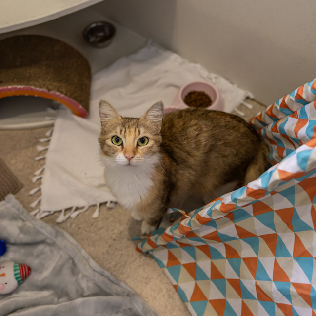 Photo of Madam Maxine