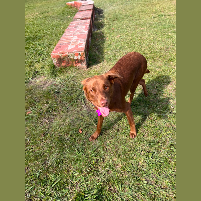 Photo of Remi