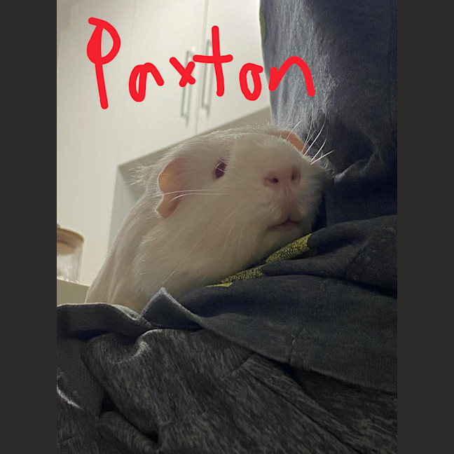 Photo of Rion & Paxton