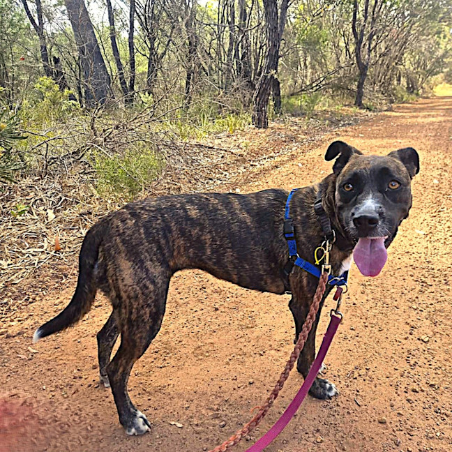 Photo of Nalani