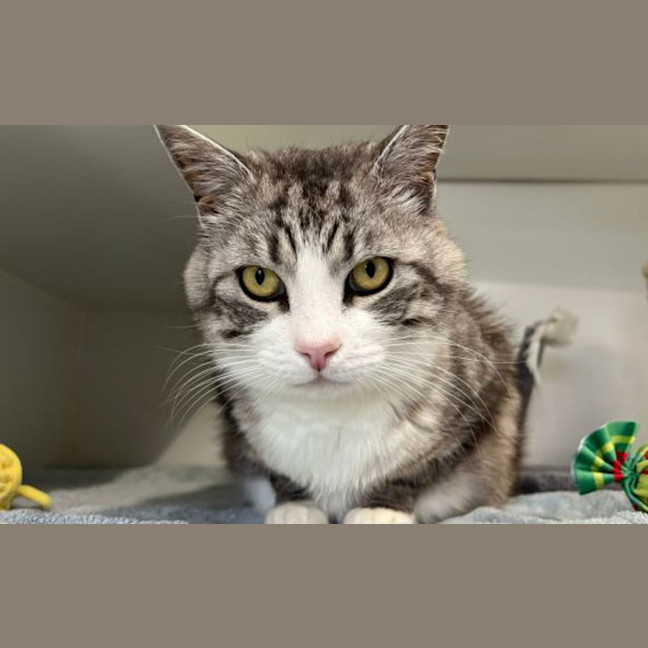 Photo of Pinky