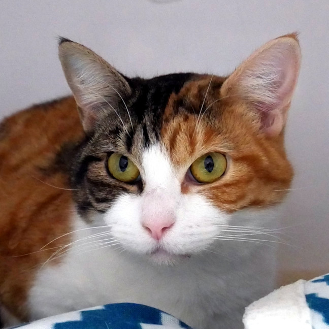 Photo of Leila Sta013541