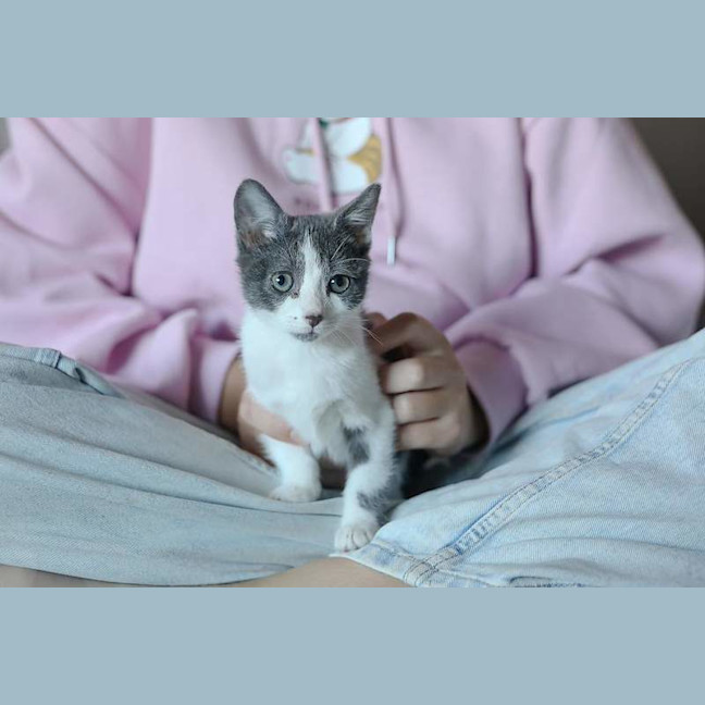 Photo of Smidge