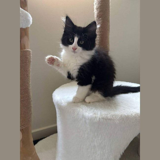 Photo of Savannah And Smokey