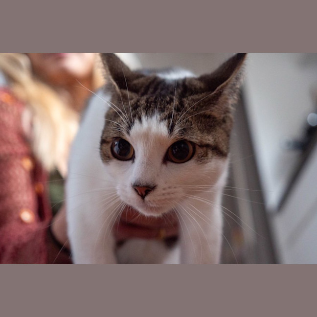 Photo of Penny & Essie 