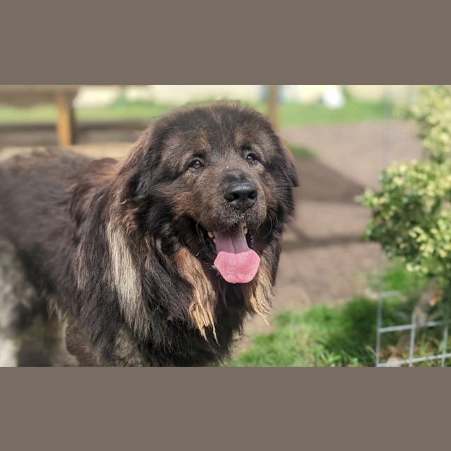 Photo of Hunter