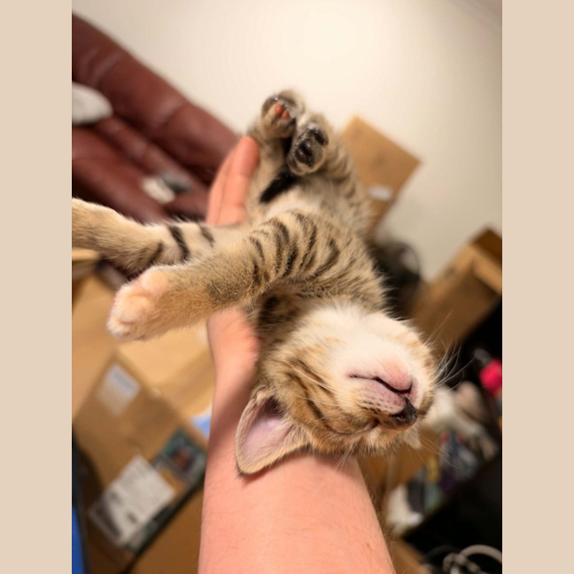 Photo of Mitzi