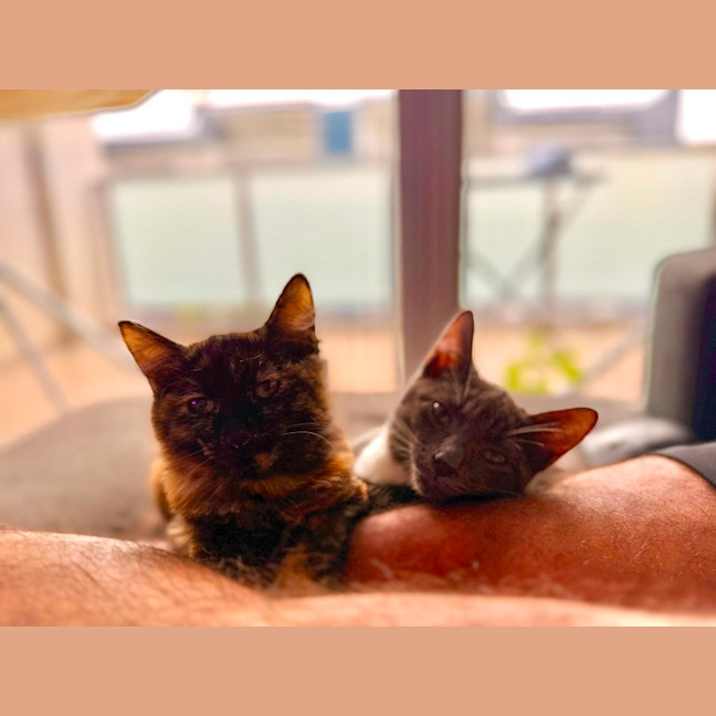 Photo of Dora And Tom