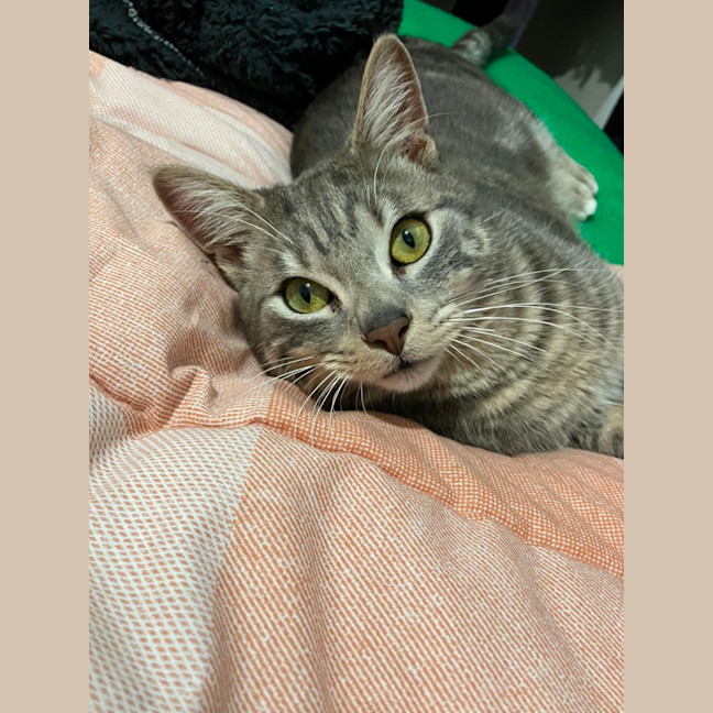 Photo of Big Ted & Little Roger