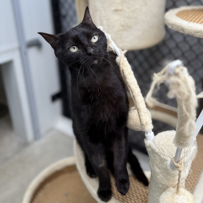 Photo of Hazel
