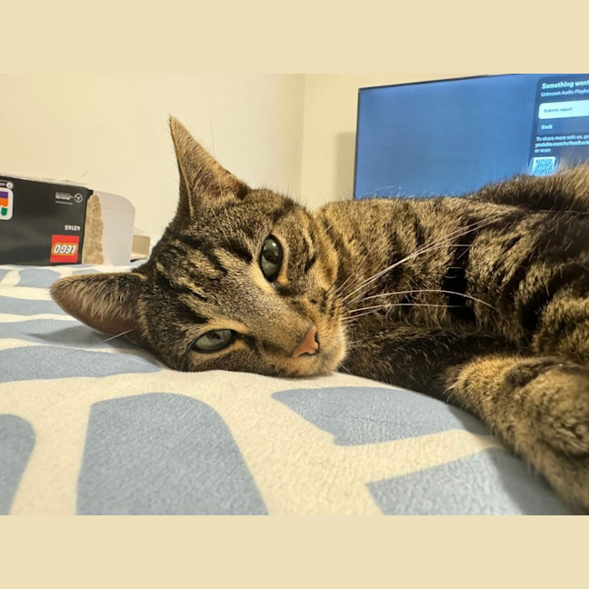 Photo of Simone