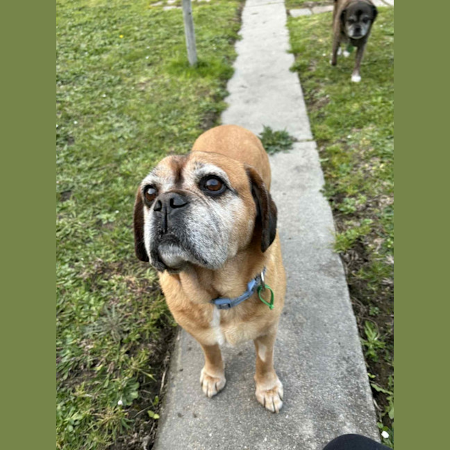 Photo of Covah And Teddy