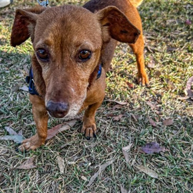 Photo of Solo